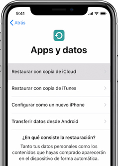 copia de seguridad de iPhone