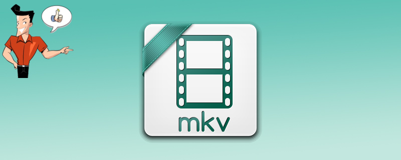 archivo mkv